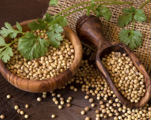 Coriander Seed (Whole & Powder)